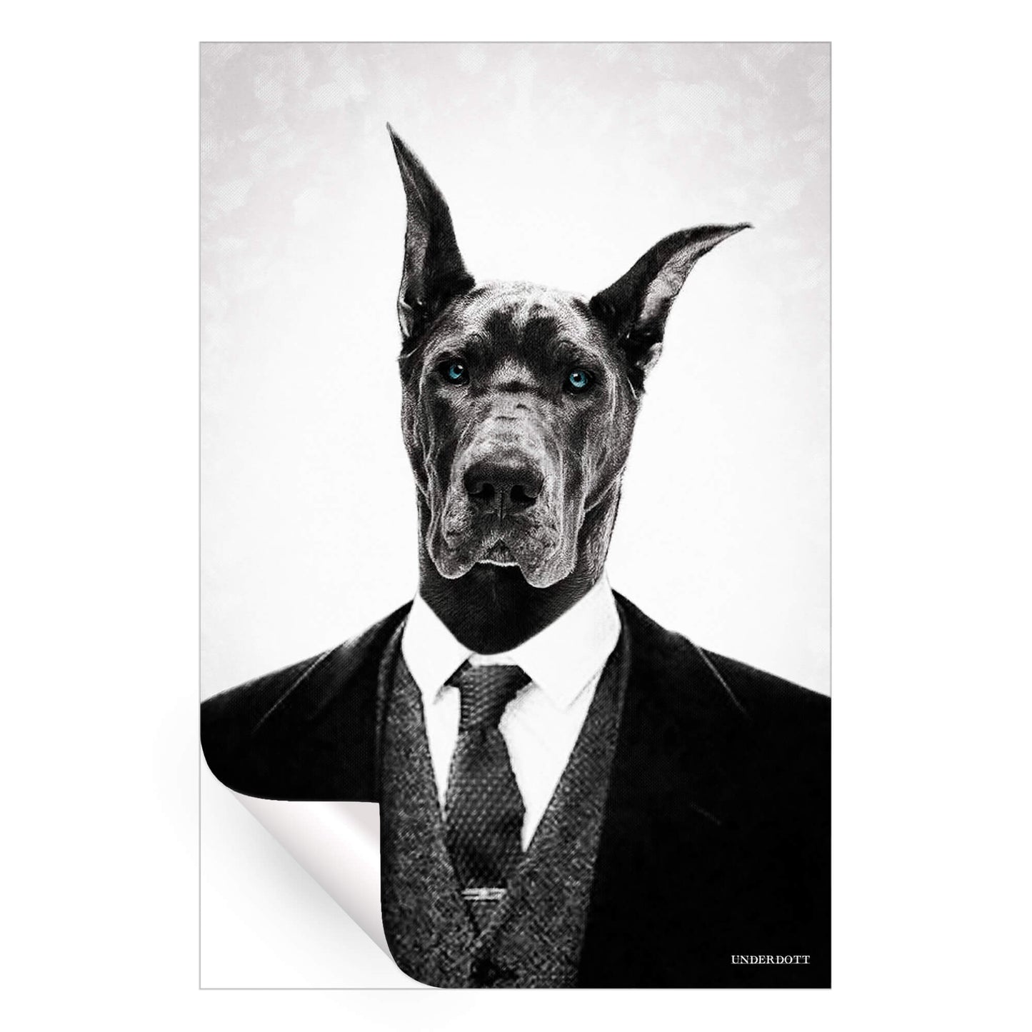 Black Dog