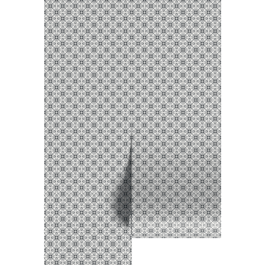Black and white star burst geometric wallpaper design on wallpaper panels.