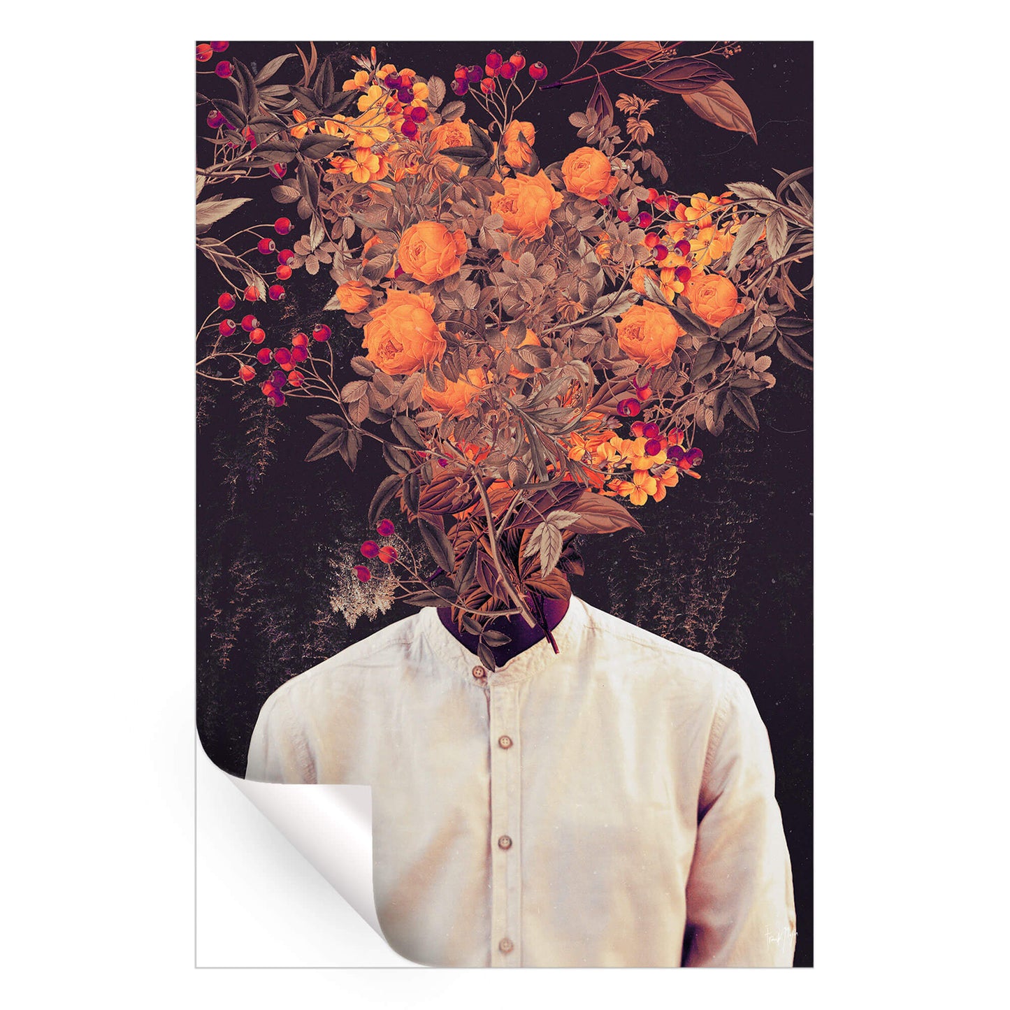 Bloom