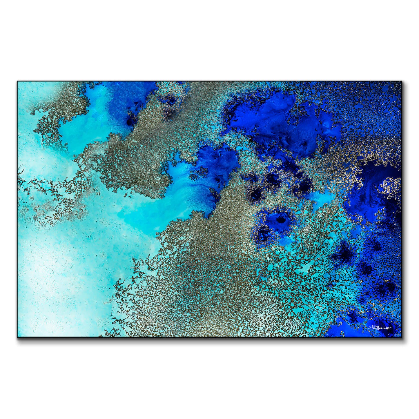 Reef Resonance