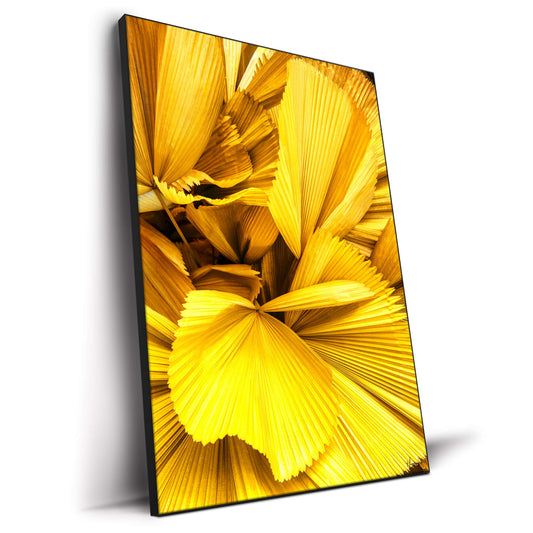 Yellow Palm Leaves