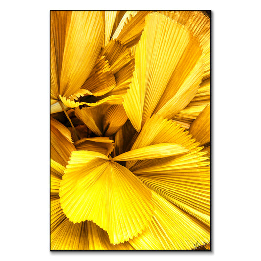 Yellow Palm Leaves