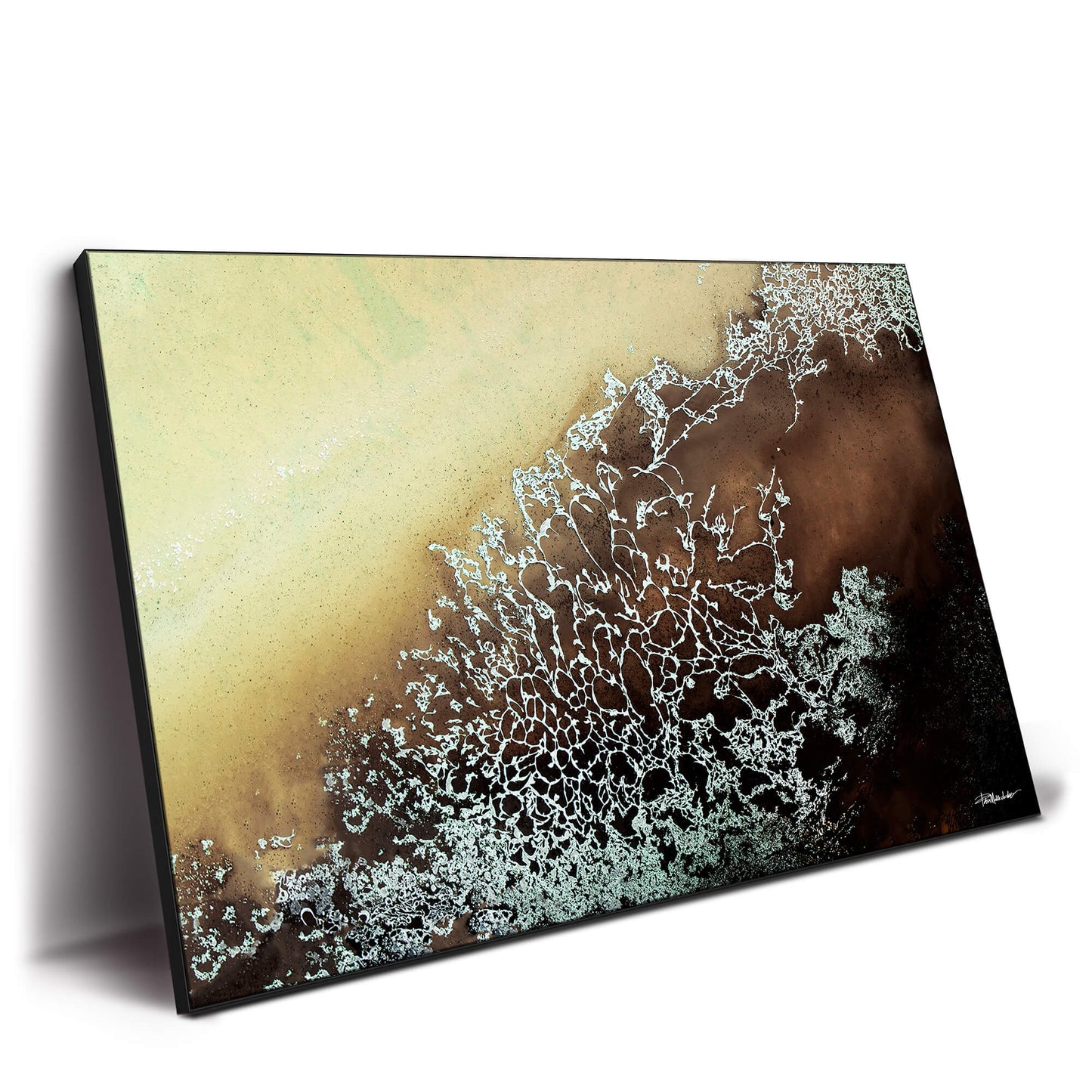 Abstract artwork featuring an organic branching pattern in white against a deep brown and beige gradient background.