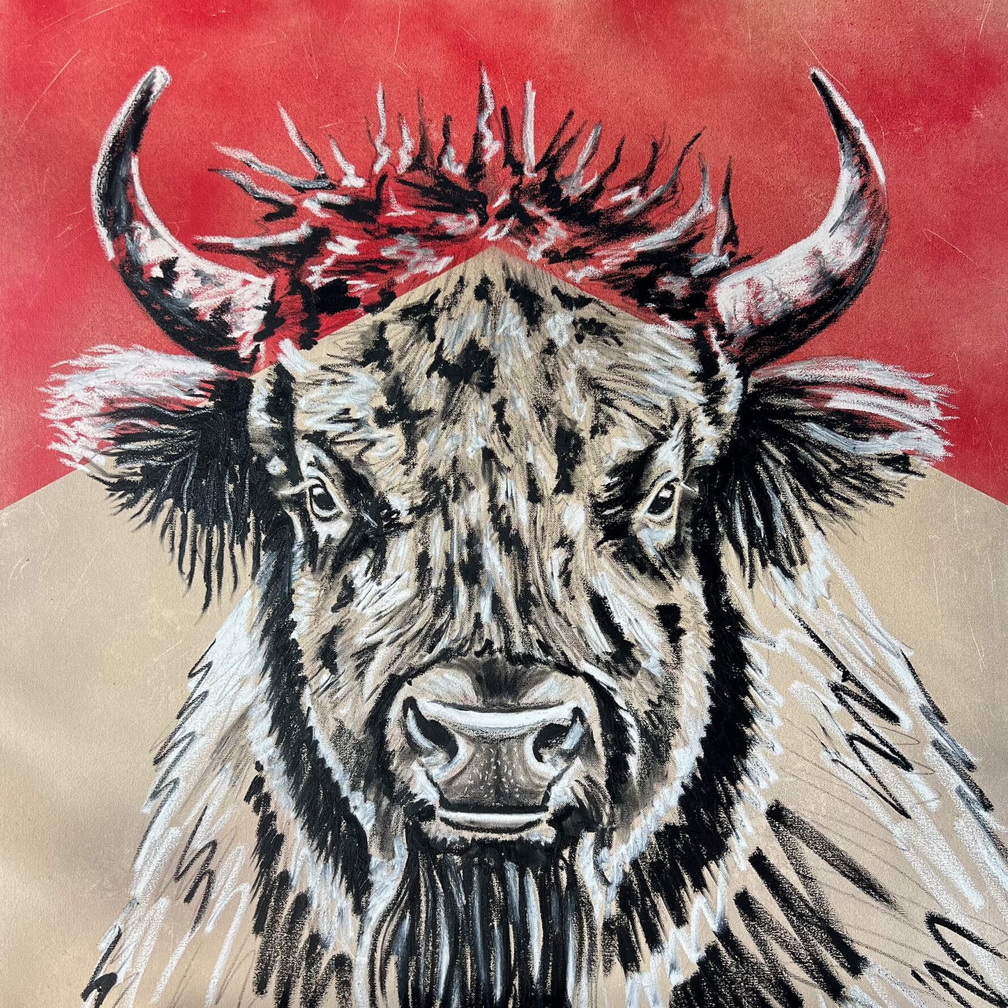 Buffalo