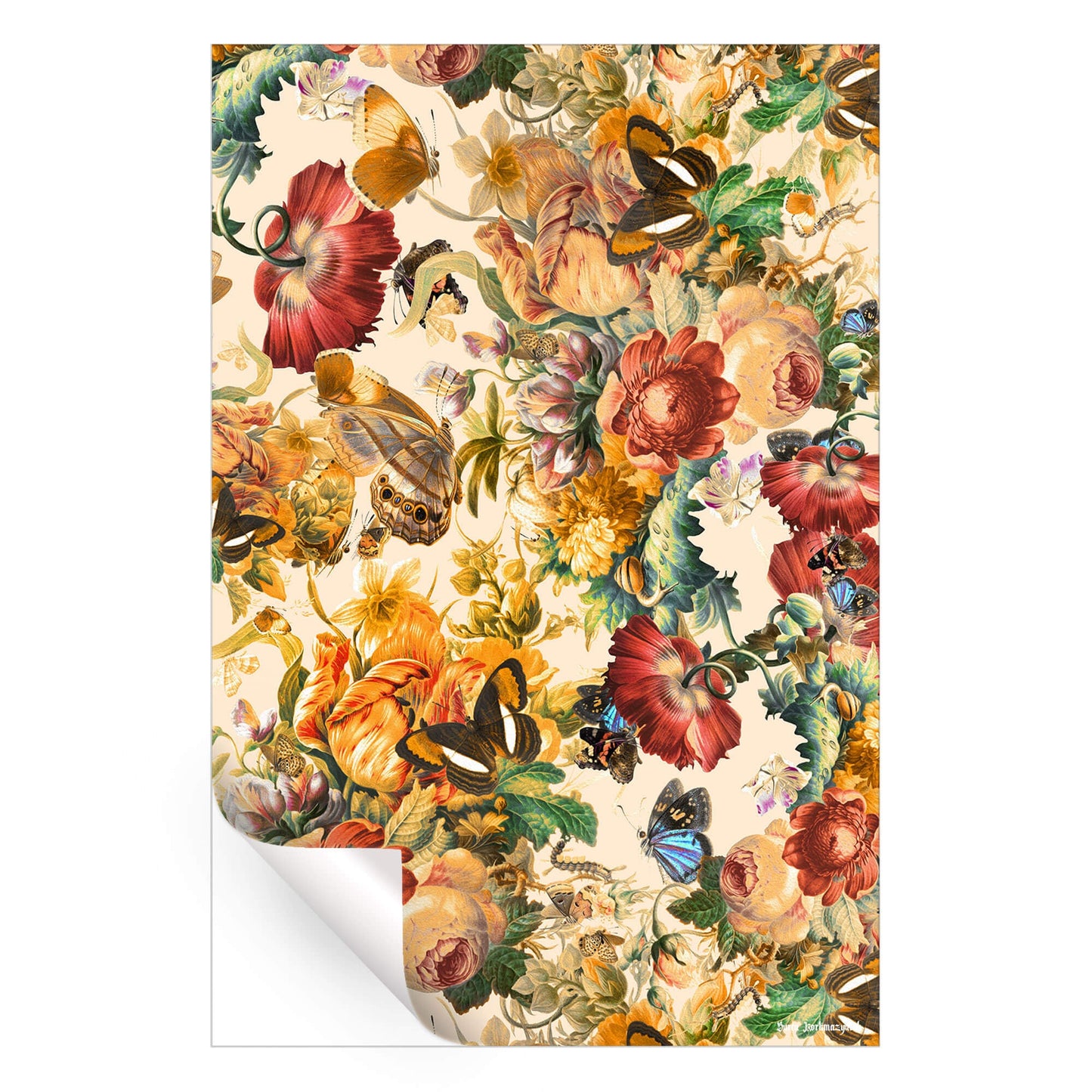 Butterfly and Floral Pattern