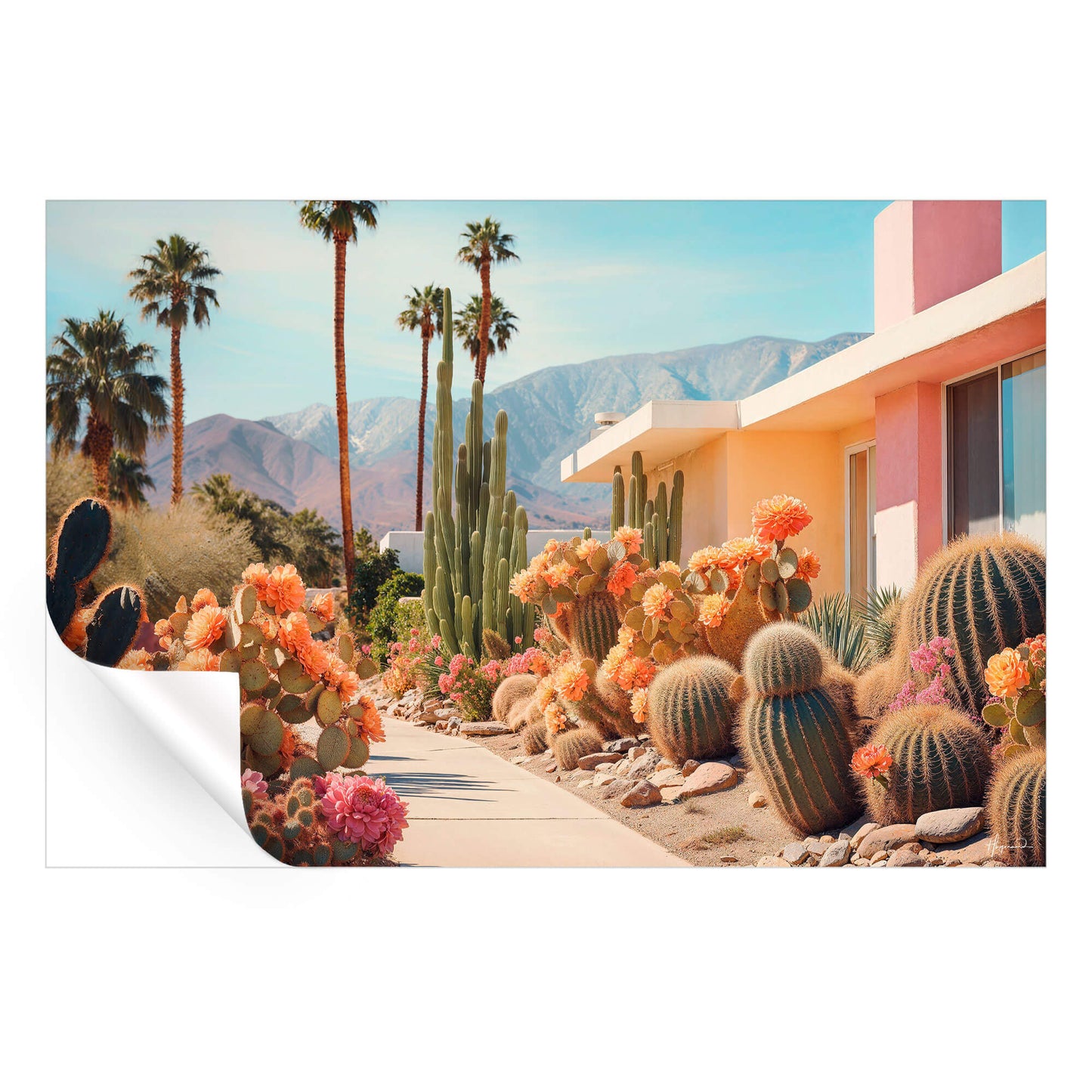Cactusland