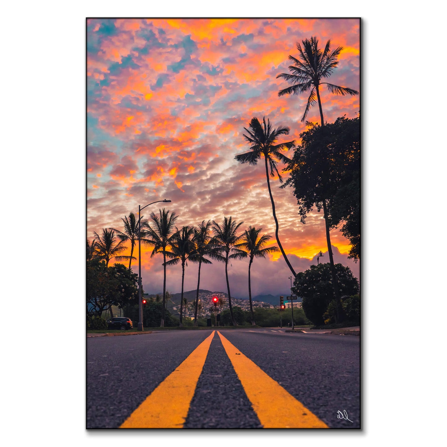 Palm Skies