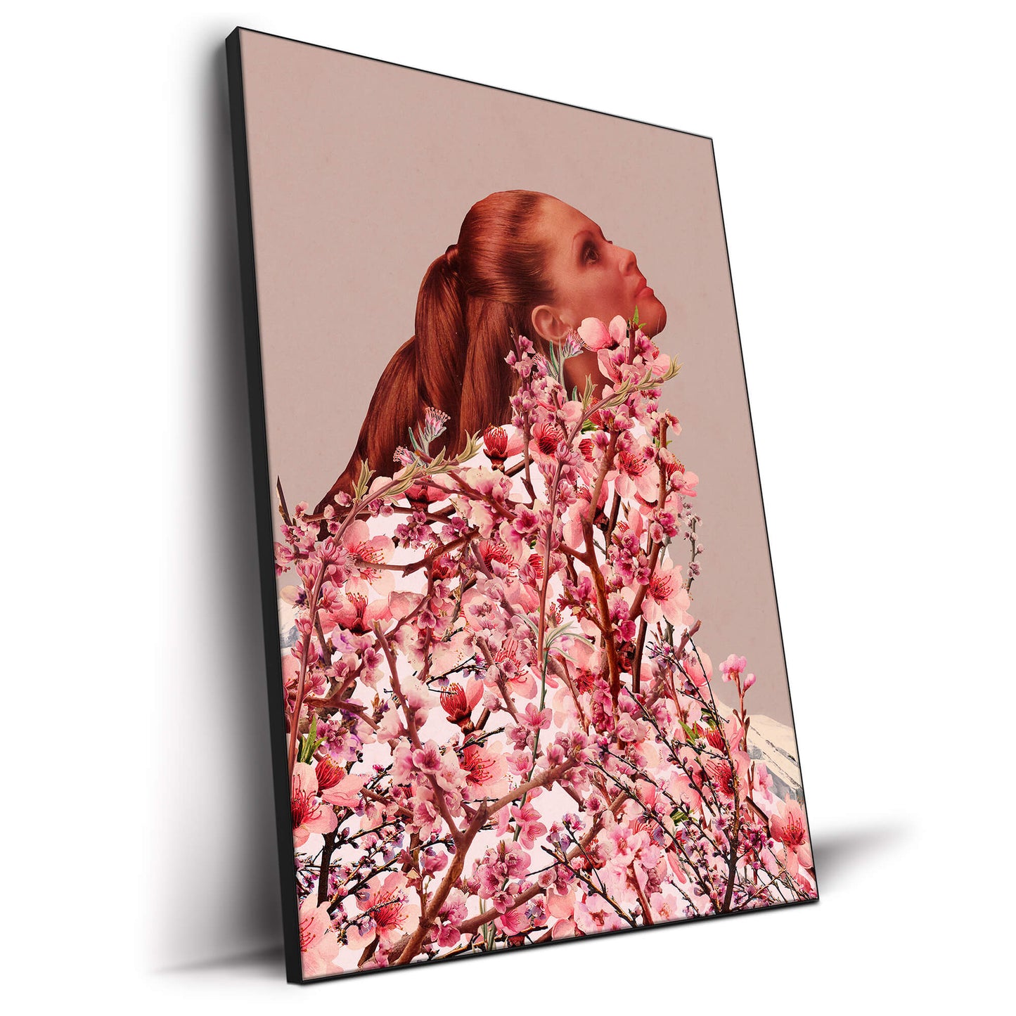 Peach Blossoms of Veria