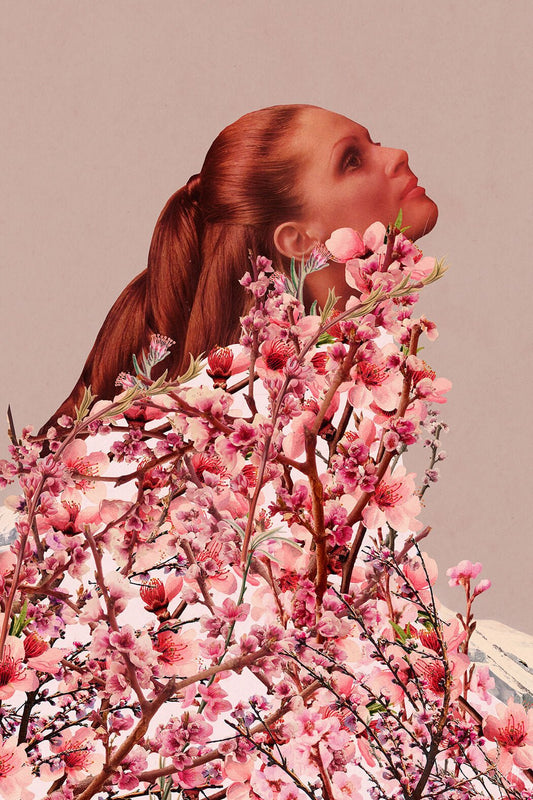 Peach Blossoms of Veria