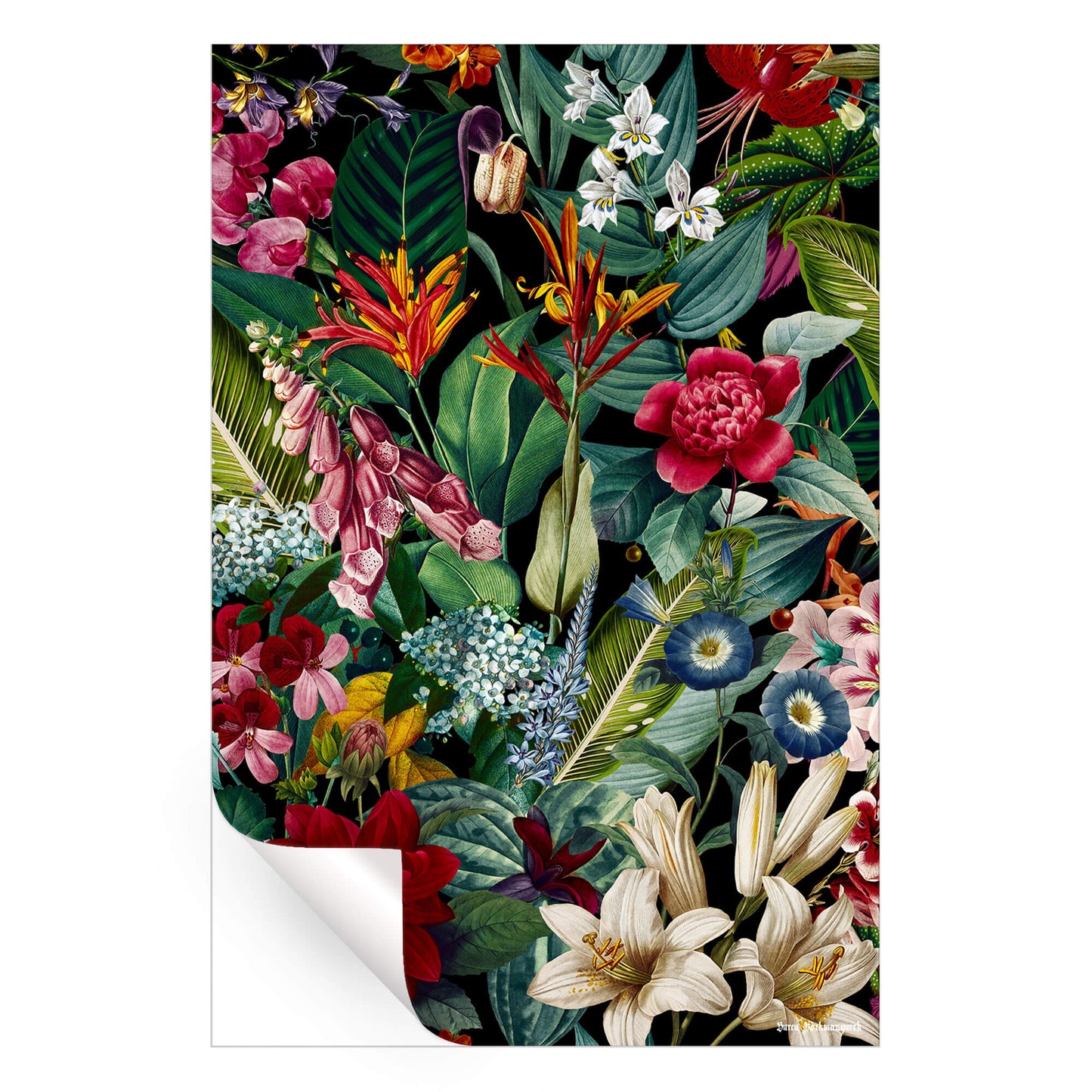 Chintzy Florals Night