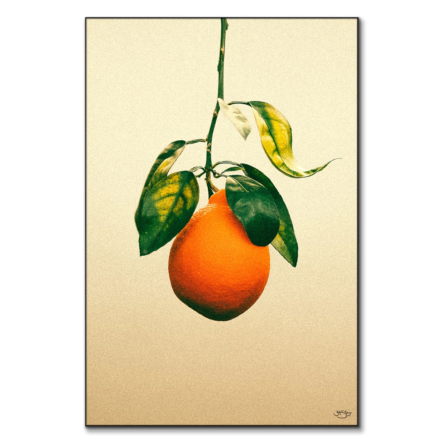 California Orange