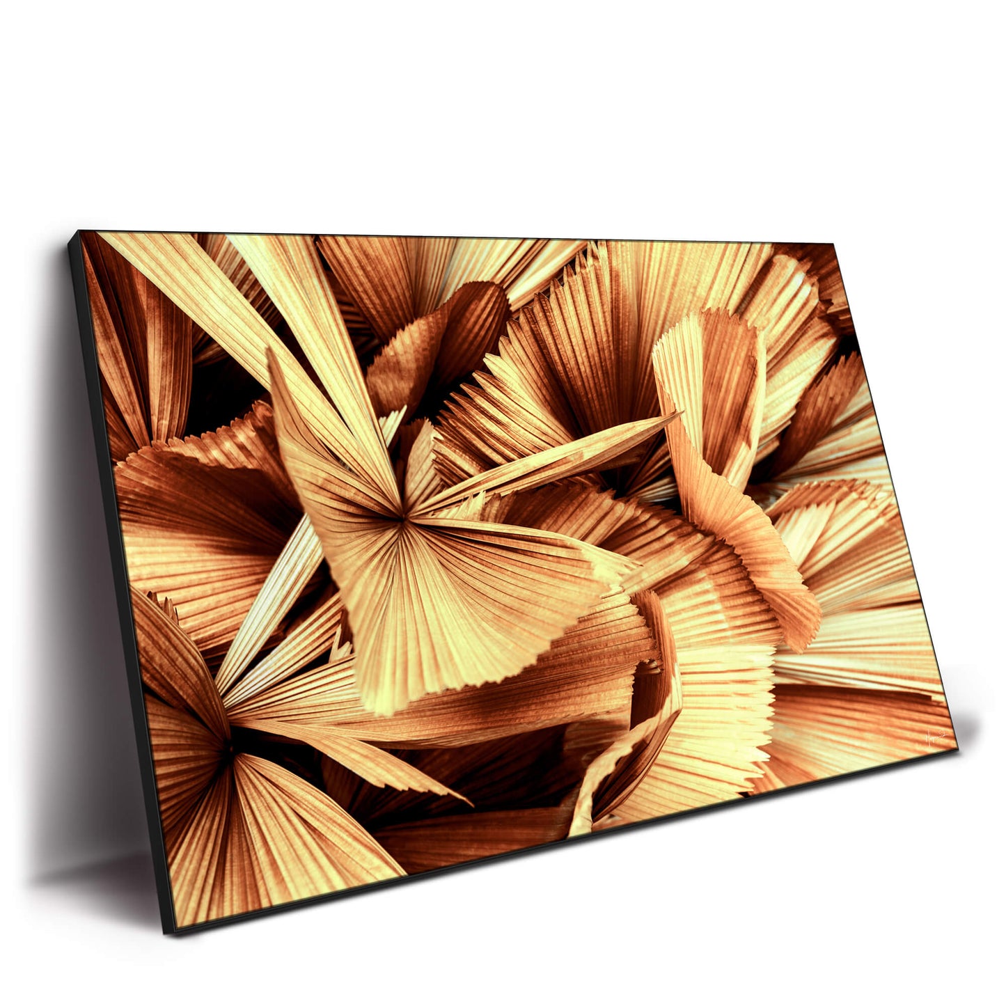 Copper Palm Leaves