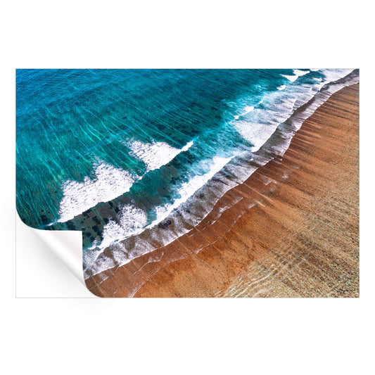 Coral Reef Beach