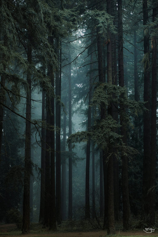 Oregon