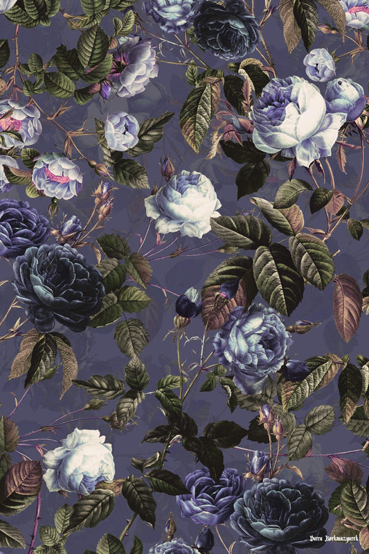 Roses in the Dark II