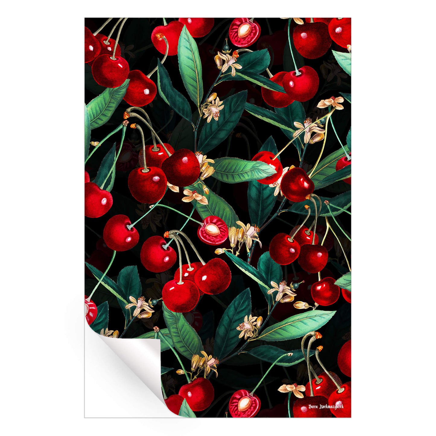 Sweet Cherry III
