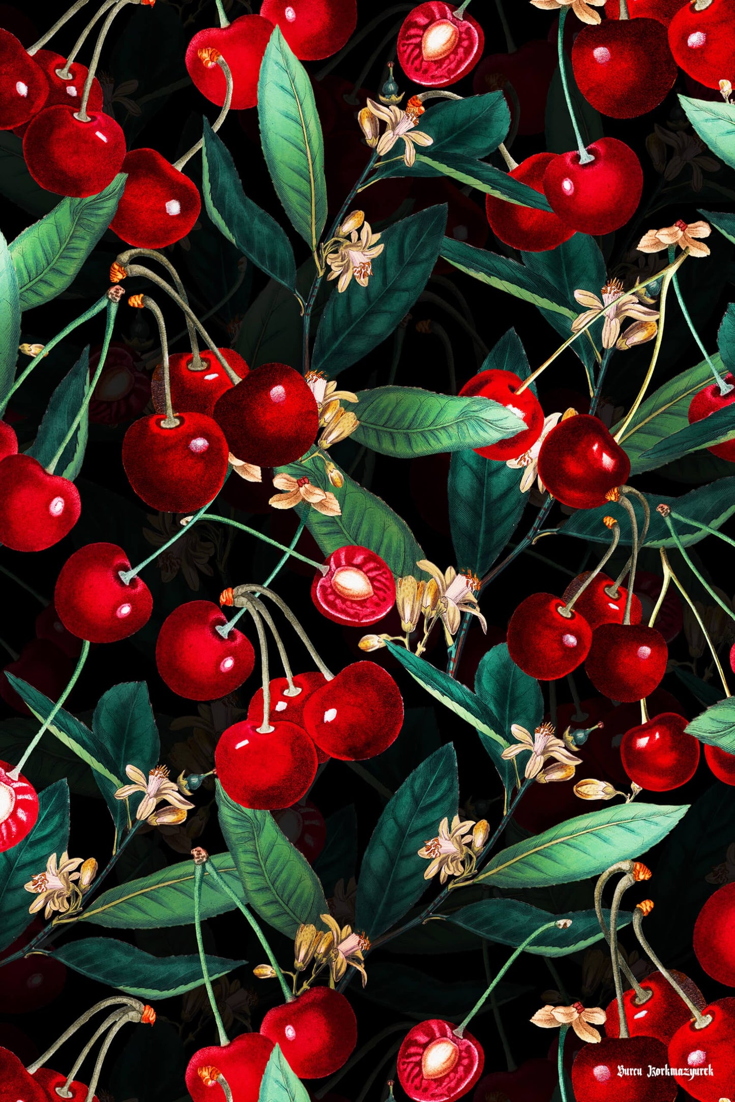 Sweet Cherry III