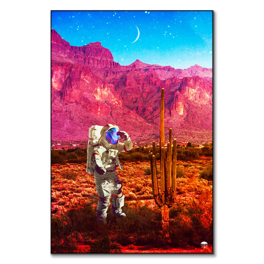 Space Desert