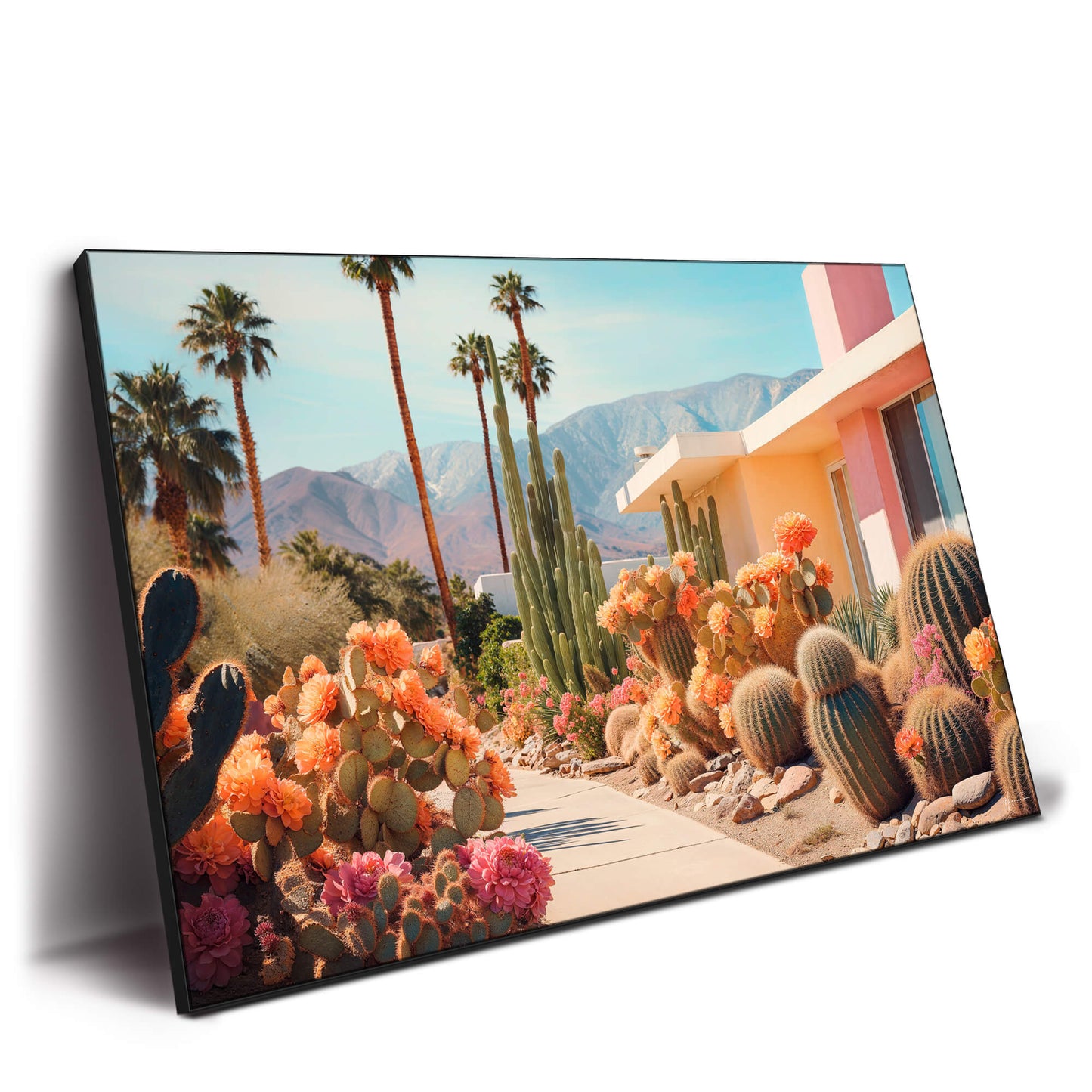 Cactusland