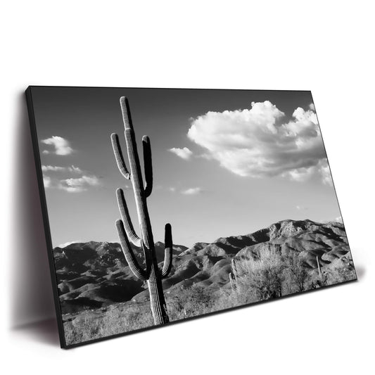 Saguaro Cactus Sunrise