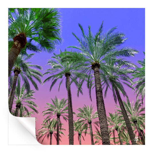Desert Sun