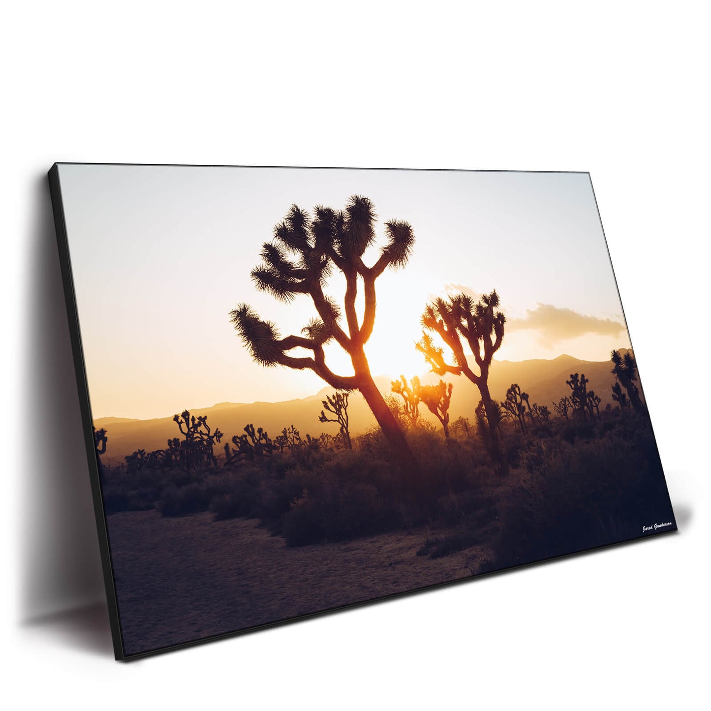Desert Sunrise