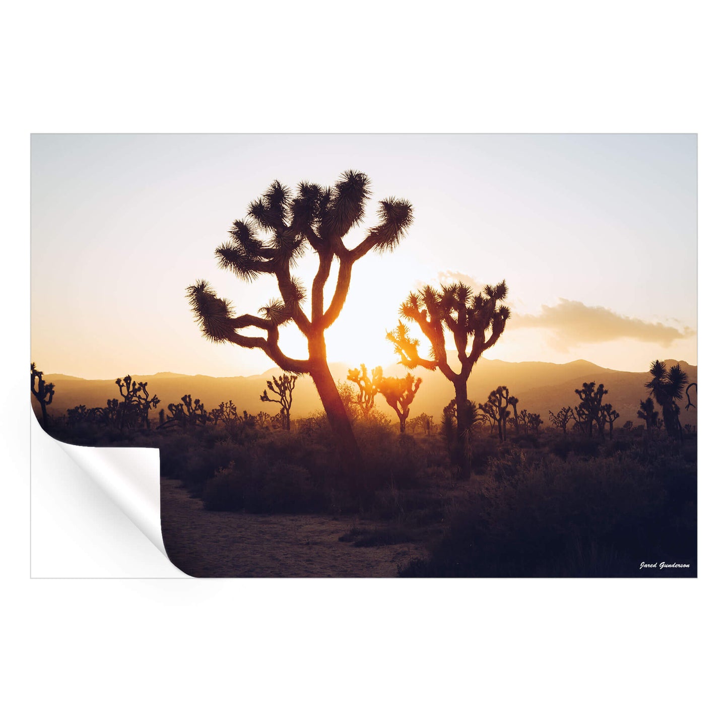 Desert Sunrise