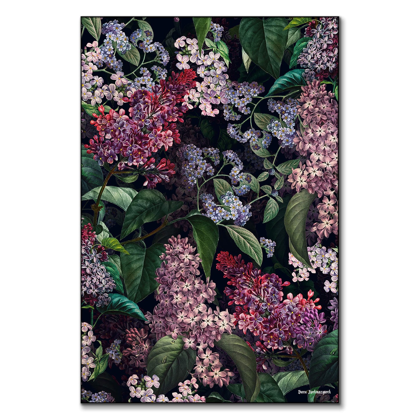 Dark botanical artwork featuring lush lilac and hydrangea blooms intertwined with deep green foliage against a black background.
