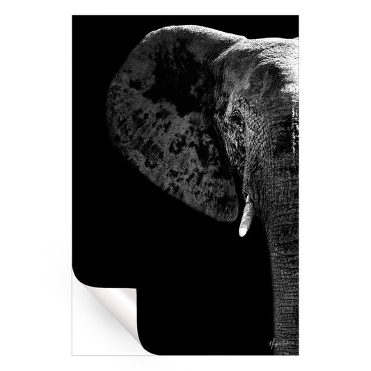 Elephant Black Edition