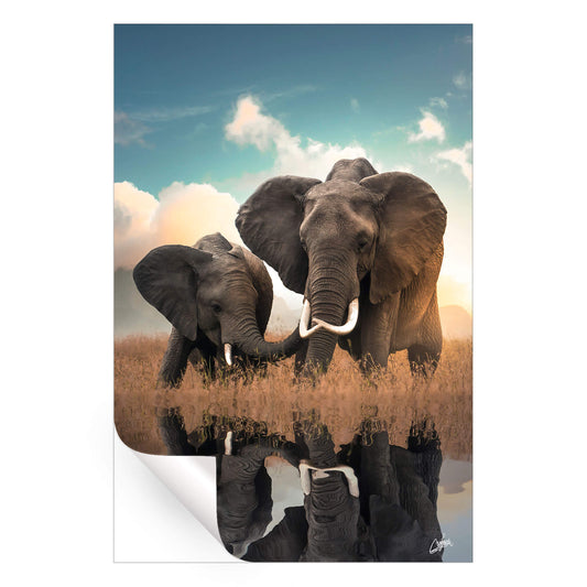 Elephant Love