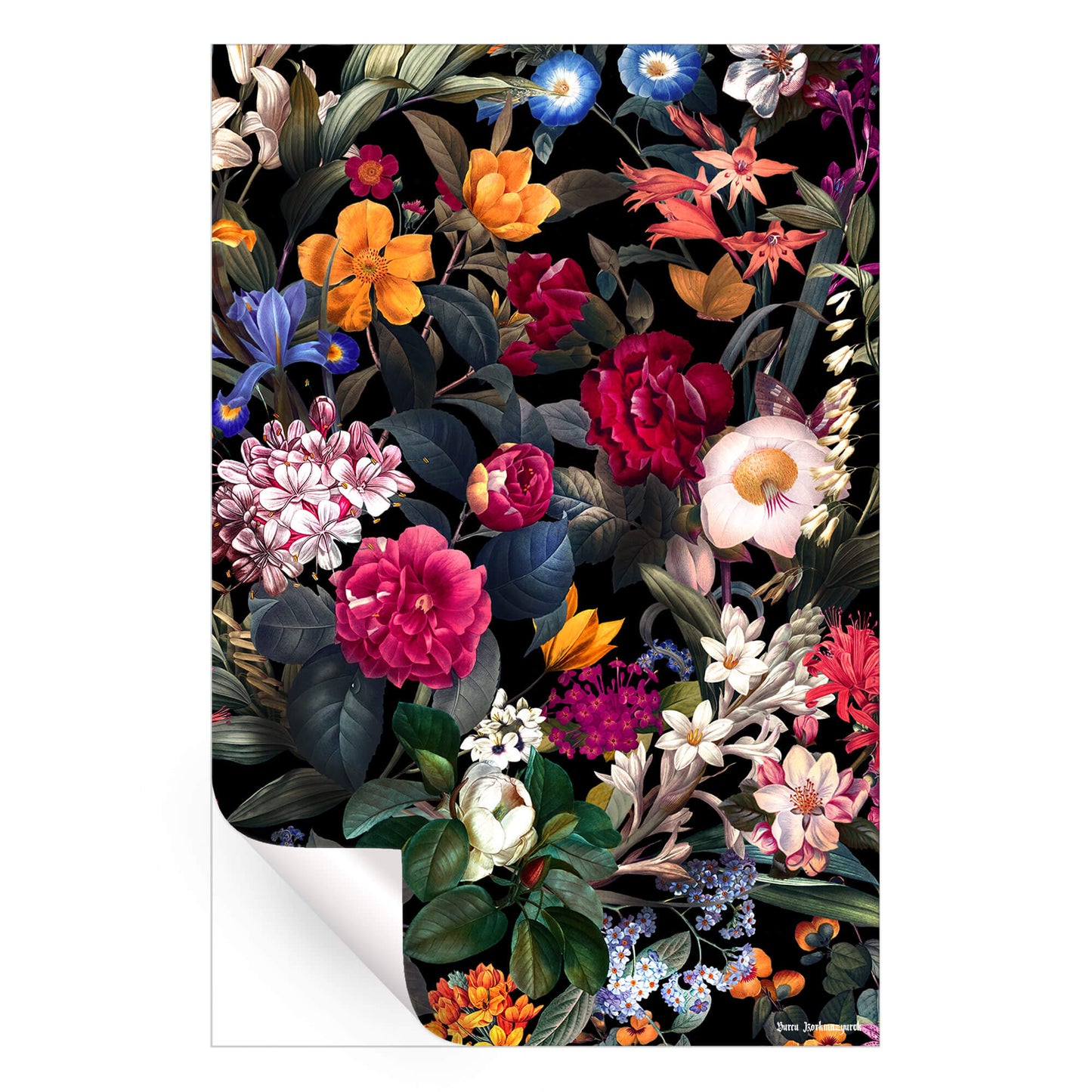 Floral Spice II Night