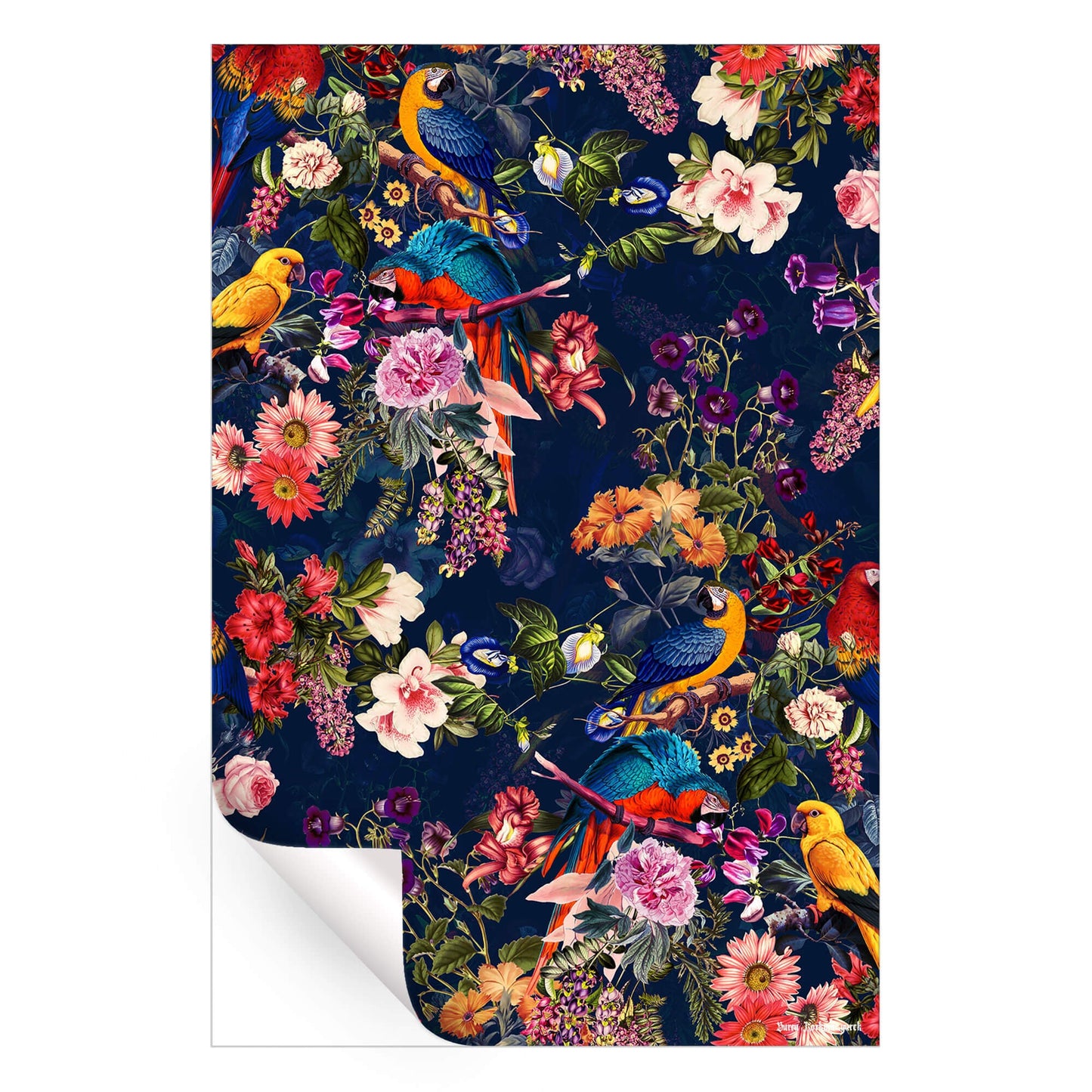 Floral and Birds XII