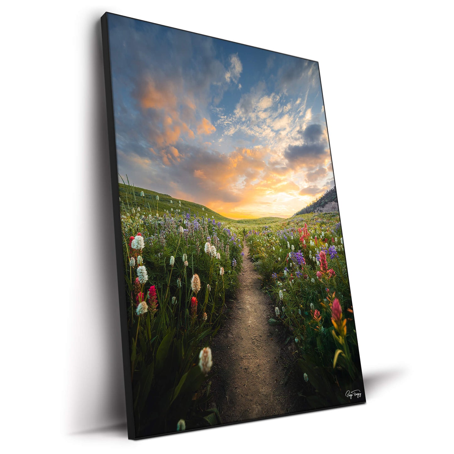 Meadow Sunrise