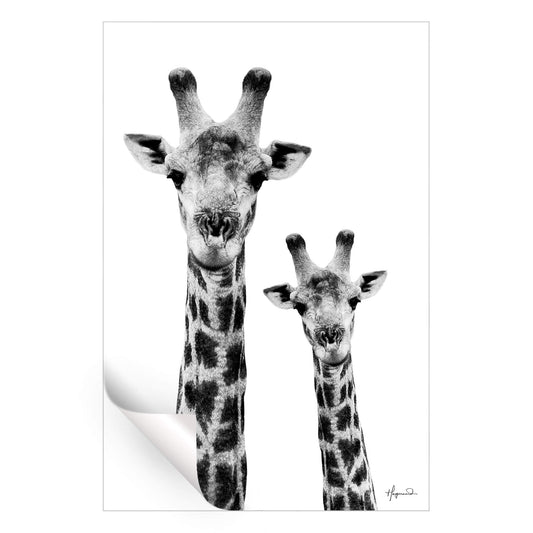 Giraffe and Baby White Edition