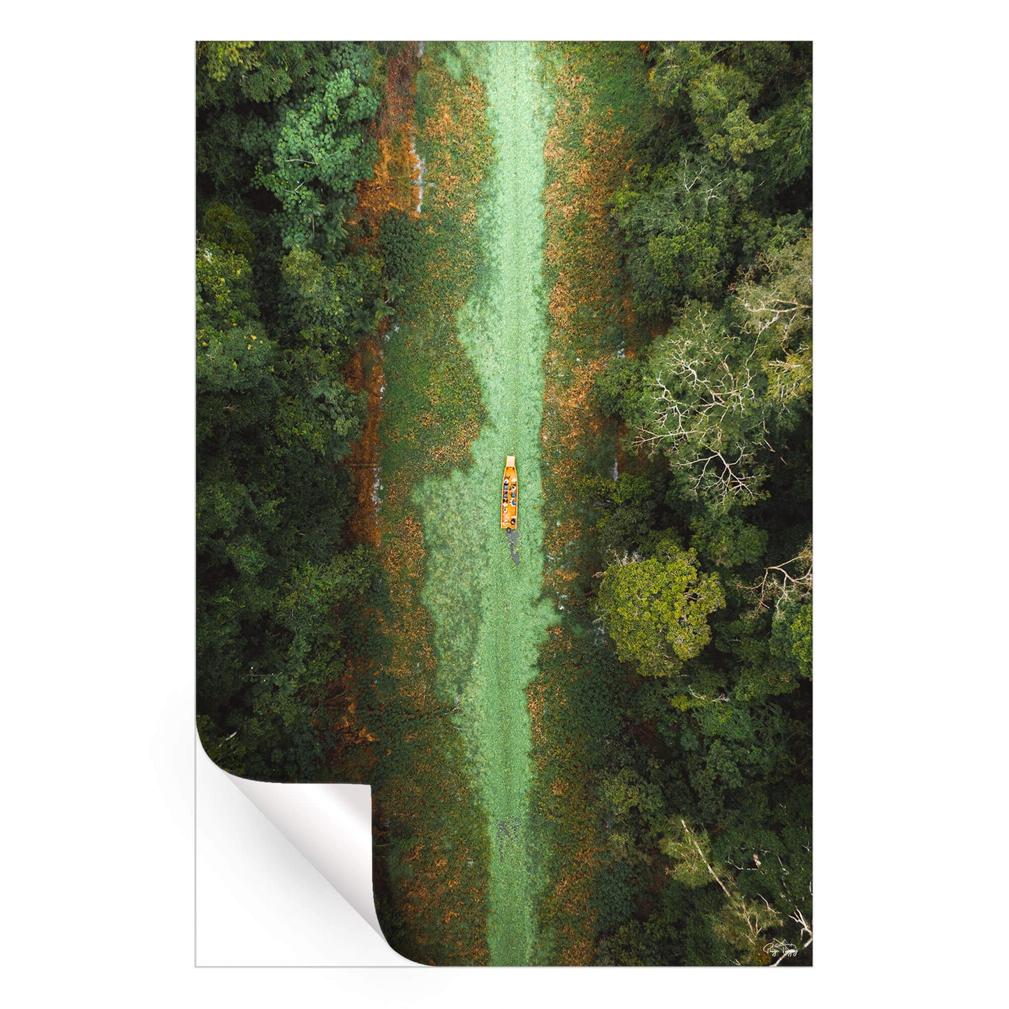 Green River
