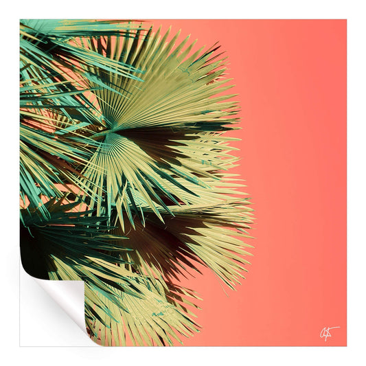 Growth v3