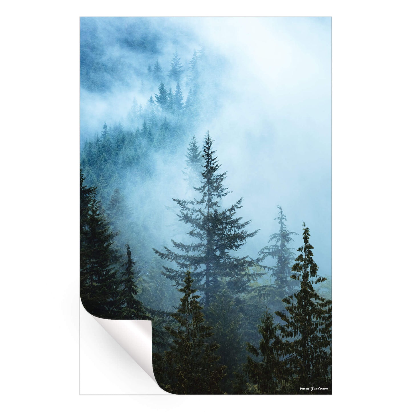 Hazy Treetops
