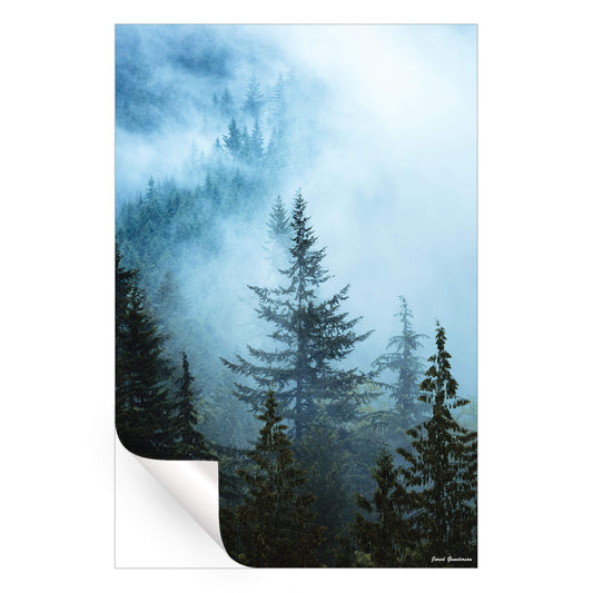 Hazy Treetops