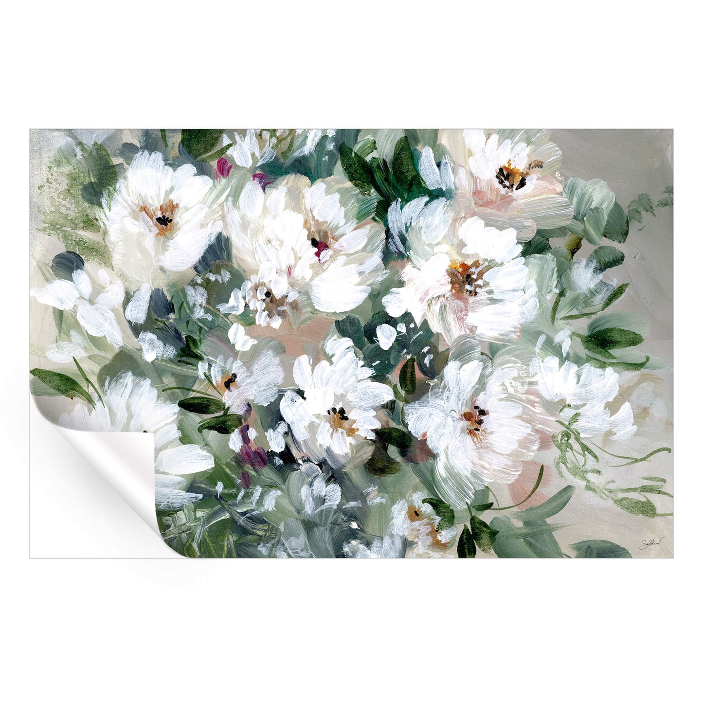 White Peony