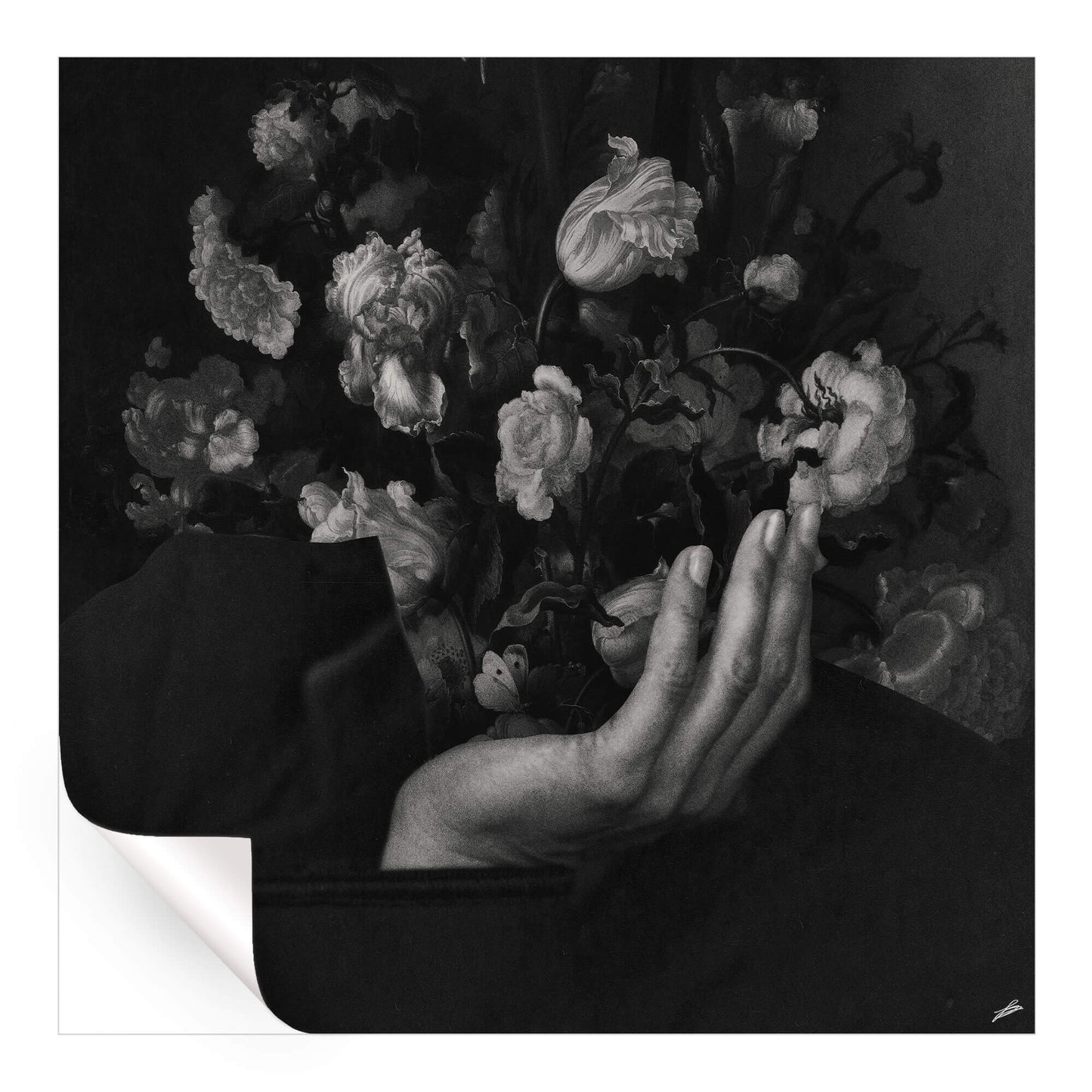In Bloom II
