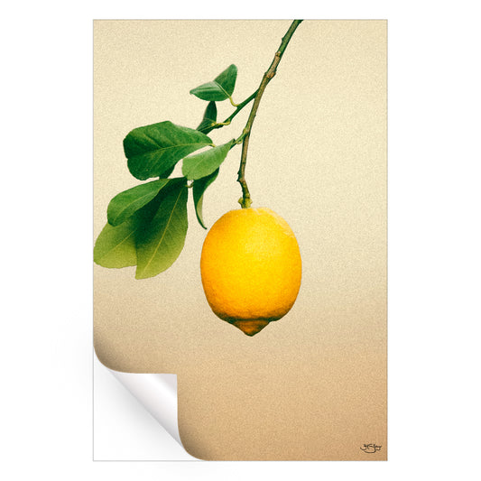 California Lemon