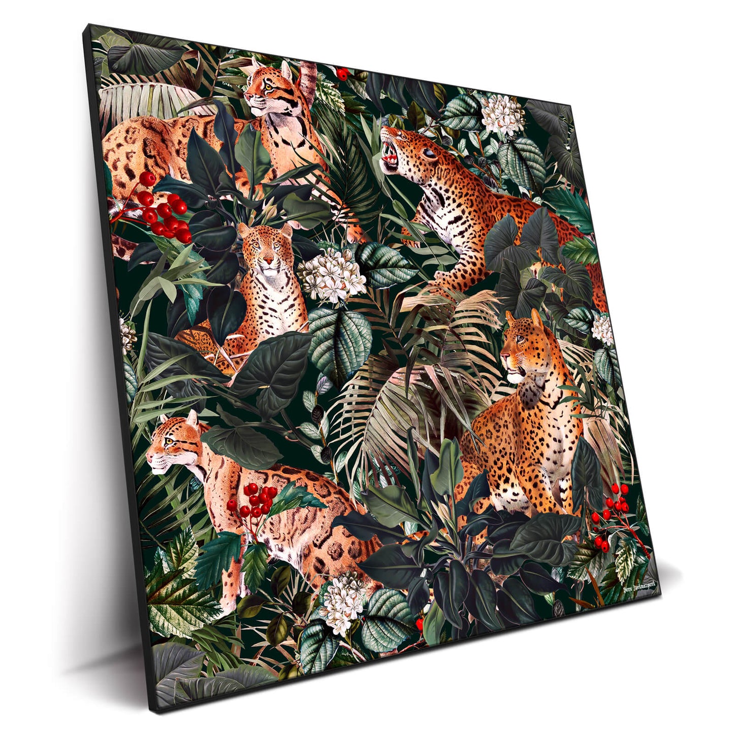 Jaguar Pattern