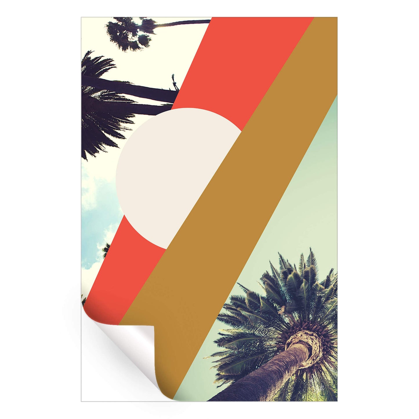 LA Sunshine