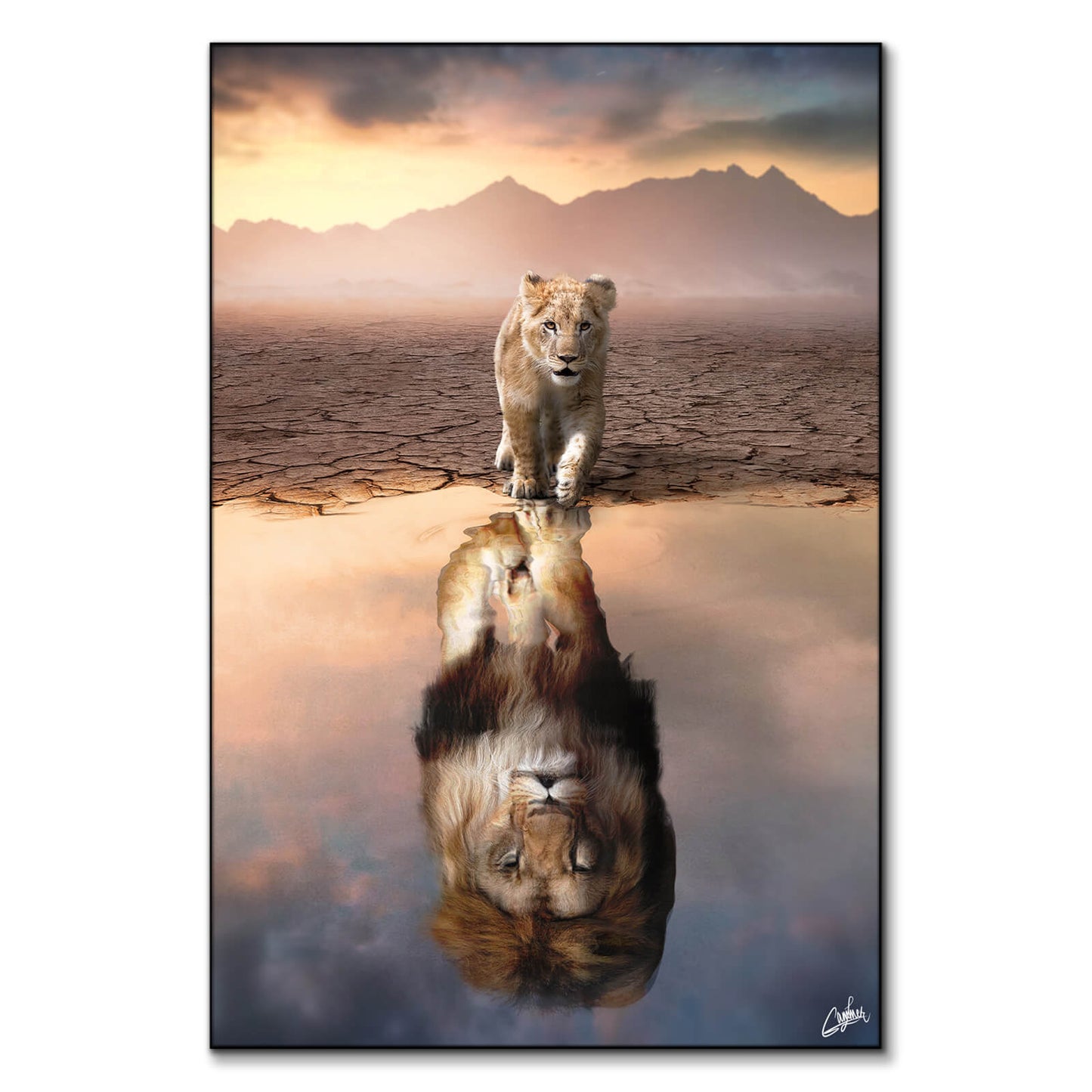Lion Reflection