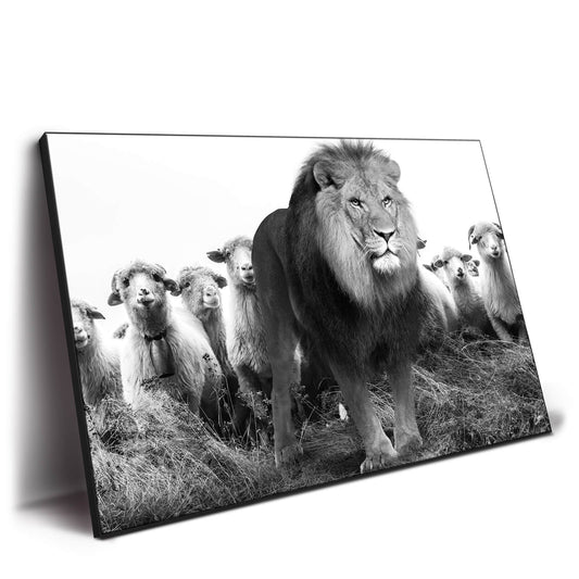Lion and Sheep