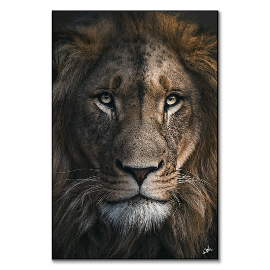 Lion Mane