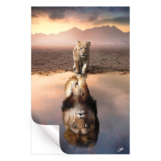 Lion Reflection