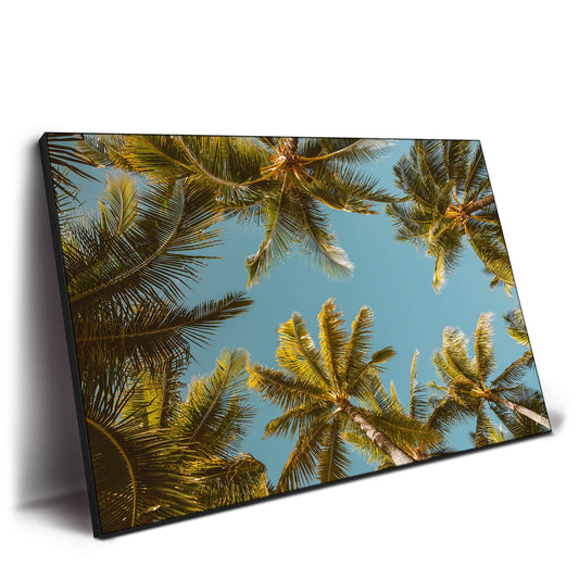 Palm Party