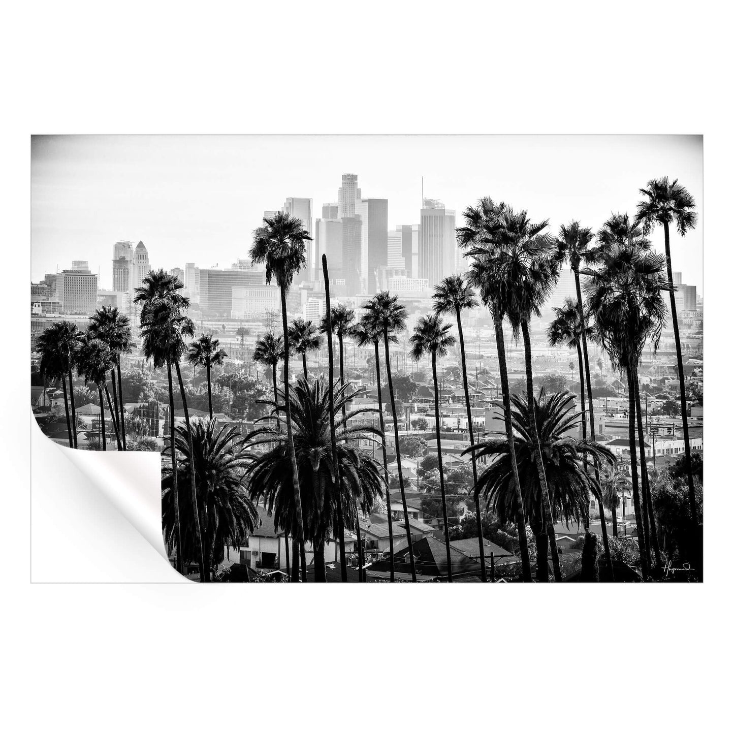 Los Angeles Skyline