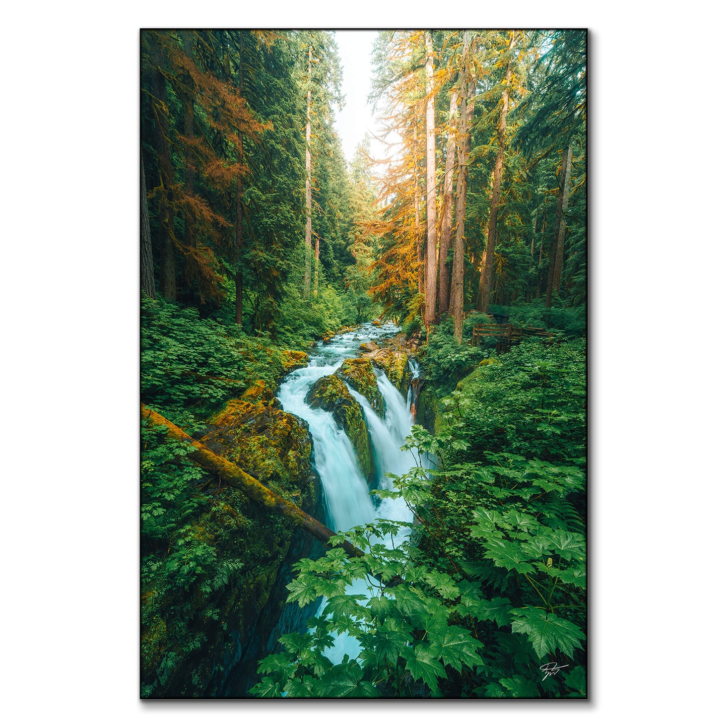 Prehistoric Falls